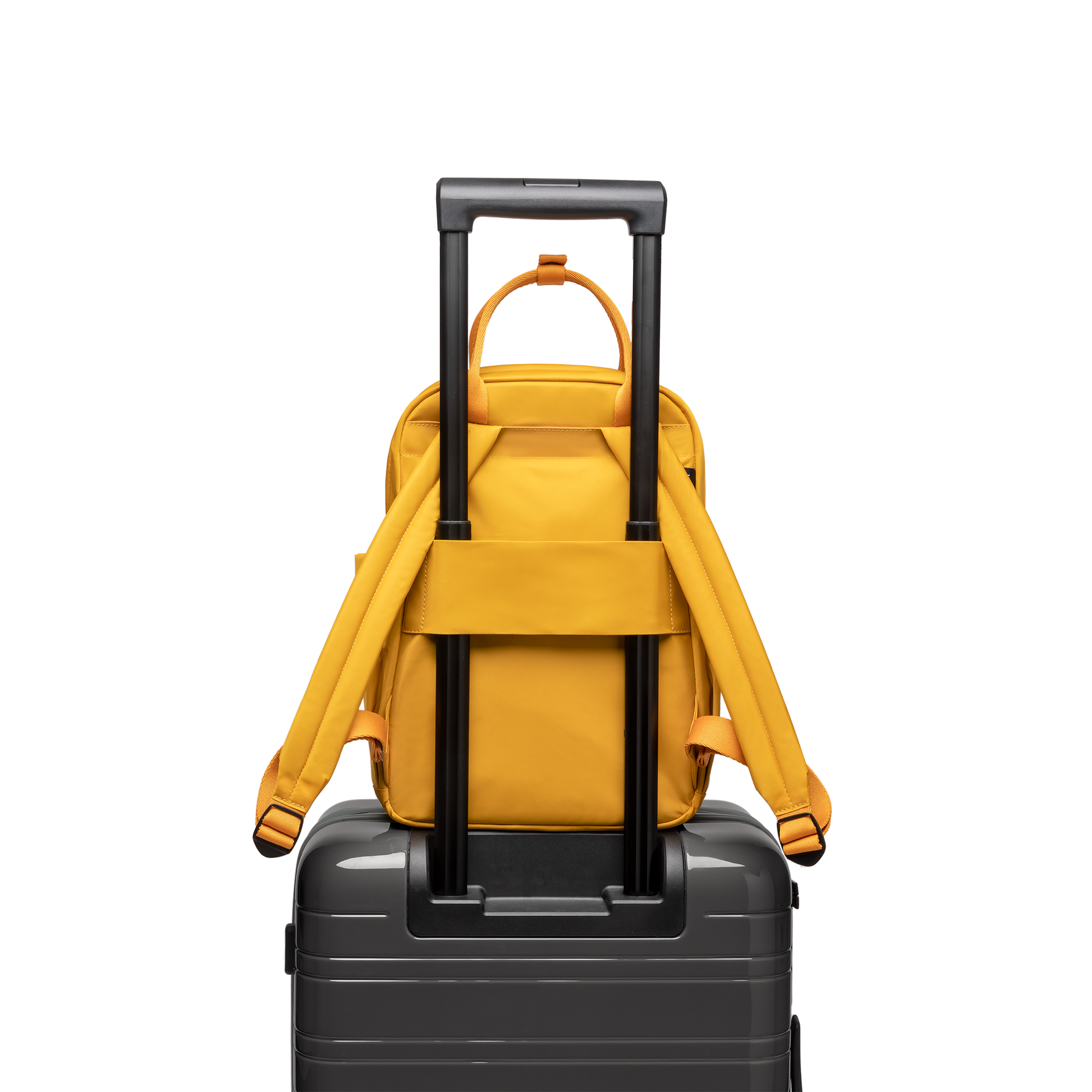 Aoyama Rucksack Small Bright Amber Rückseite Trolley - Wasserabweisend Vegan Ergonomisch - Horizn Studios