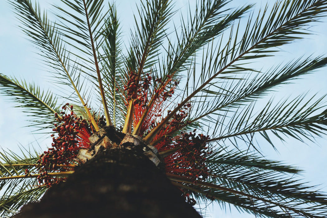 Edit Photo - Horizn Studios