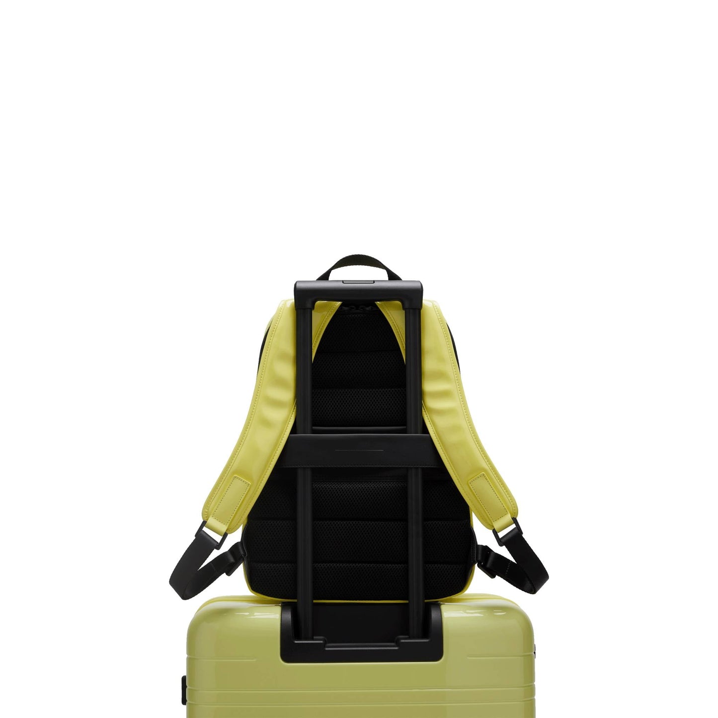 Gion Rucksack Glossy Lemon Rückseite Ebc - Wasserabweisend Vegan Ergonomisch - Horizn Studios