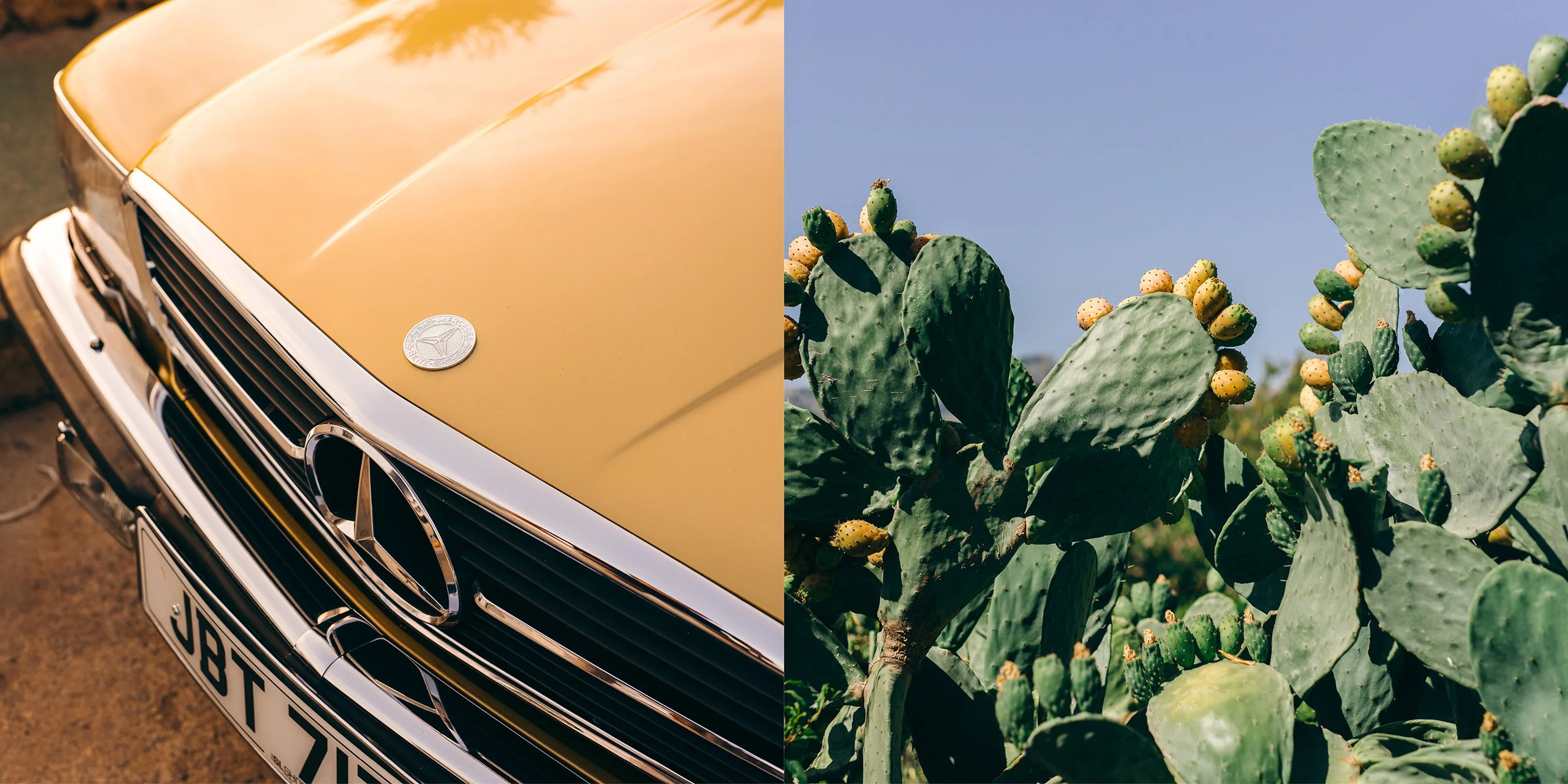 Mallorca Journal Desktop - Horizn Studios
