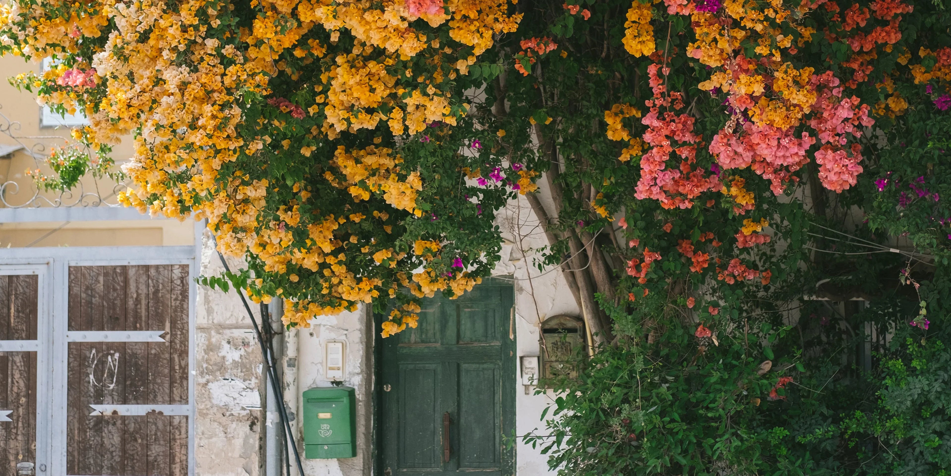 Telaviv Journal Desktop - Horizn Studios