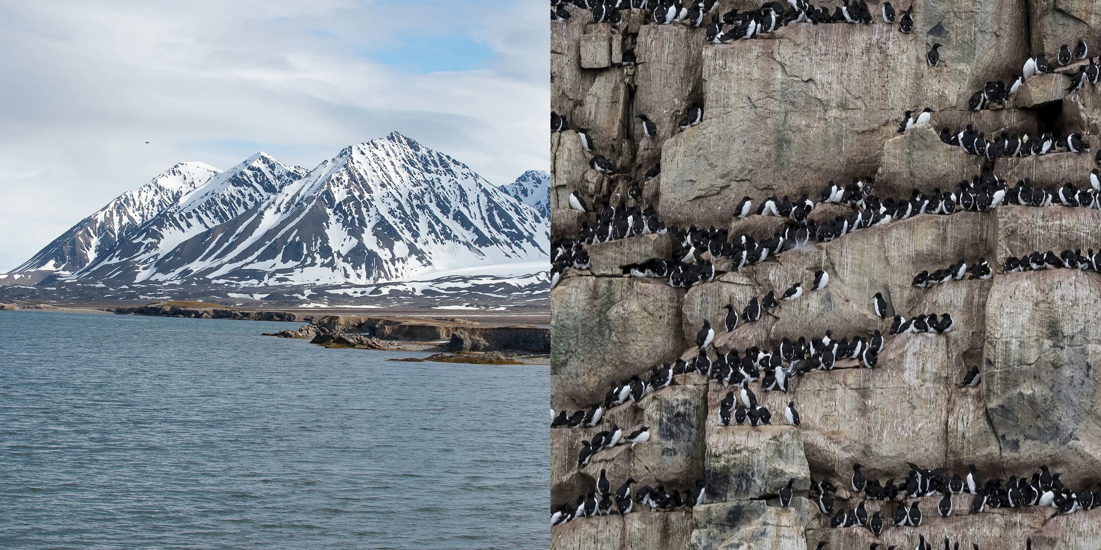 Journal Images Travel Destinations Svalbard Desktop - Horizn Studios