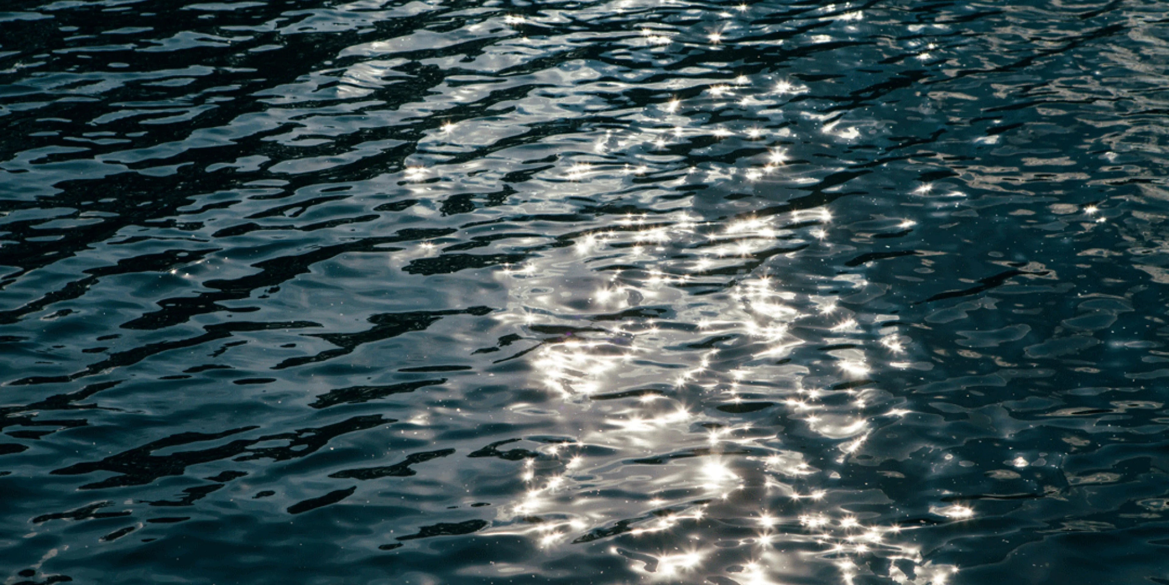 Journal Takemetothelakes - Horizn Studios
