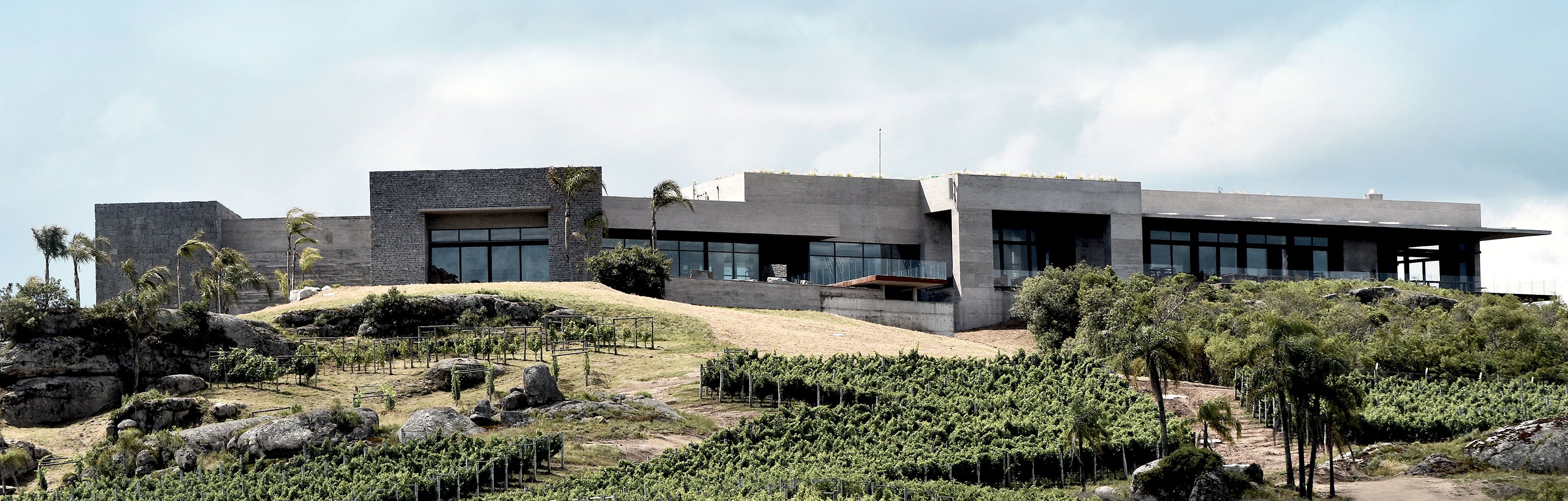 Magazine Header Punta - Horizn Studios