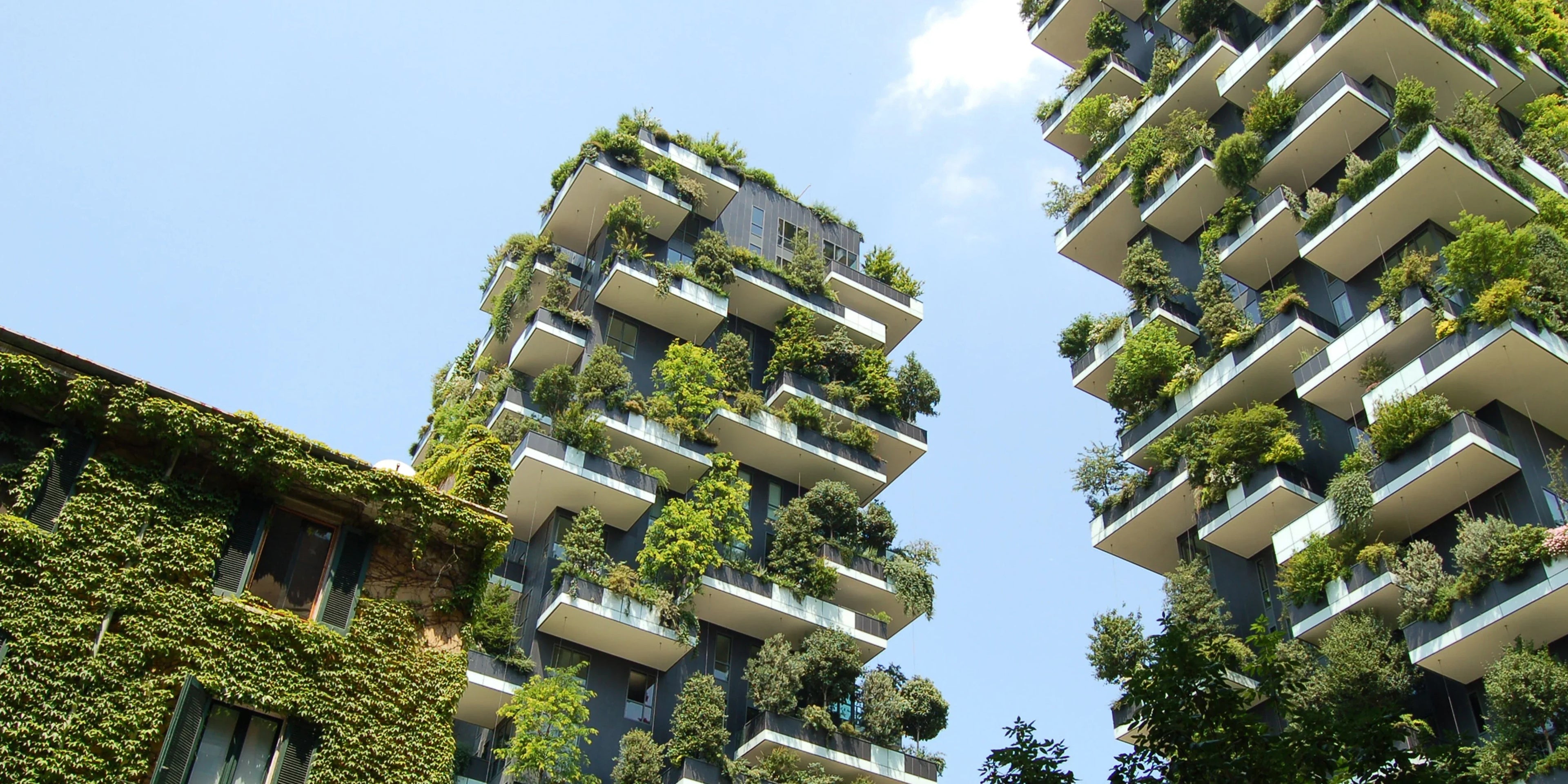 Sustainability Six - Horizn Studios